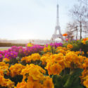 Paris in spring