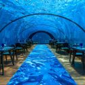 The Most Luxurious Underwater Dining Experiences