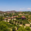 Windhaven Estate Vineyards of Westlake Village