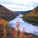 Exploring Fall Foliage in High Style