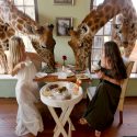 Giraffe Manor—Nairobi, Kenya