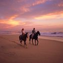 Discover the Beauty of Baja by Horseback Riding