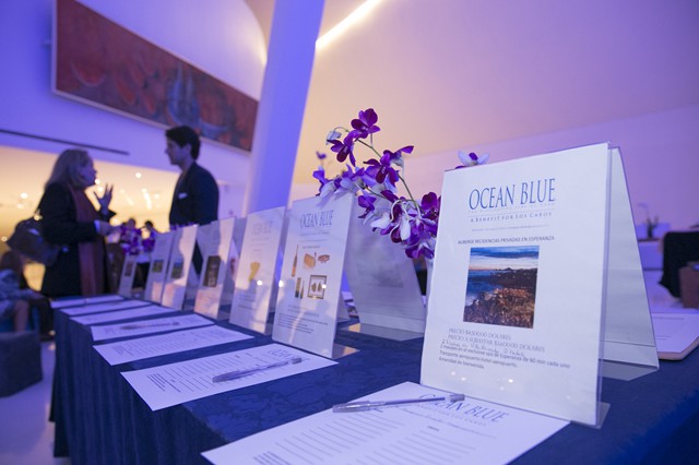 A Benefit For Los Cabos at Soumaya Museum