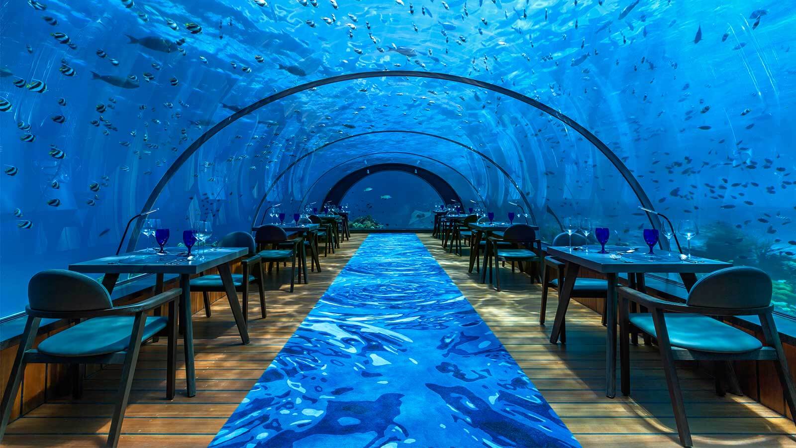 The Most Luxurious Underwater Dining Experiences