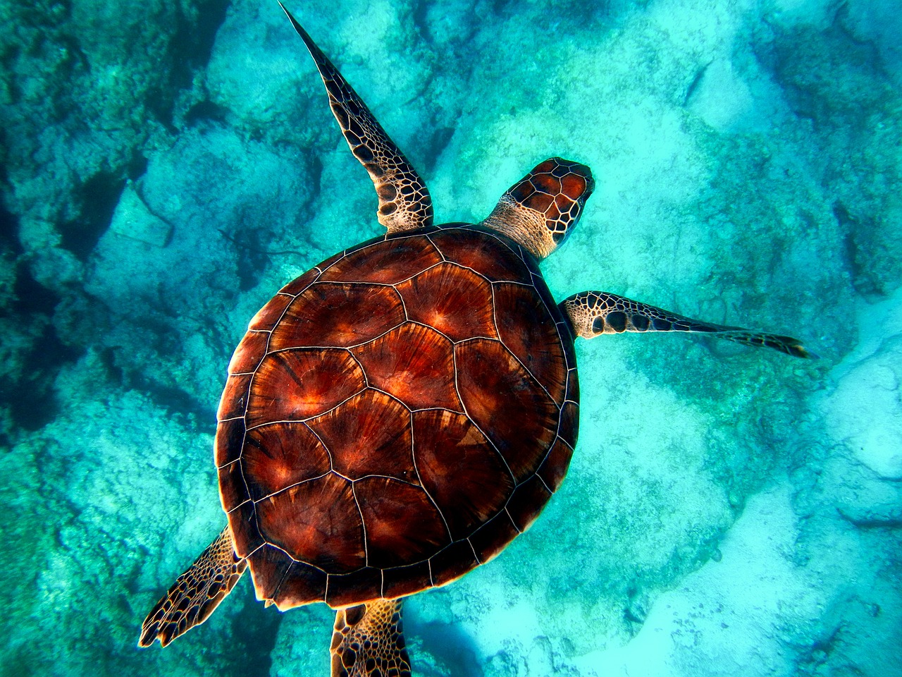 Help Save The Ocean with these Fashion and Beauty Brands