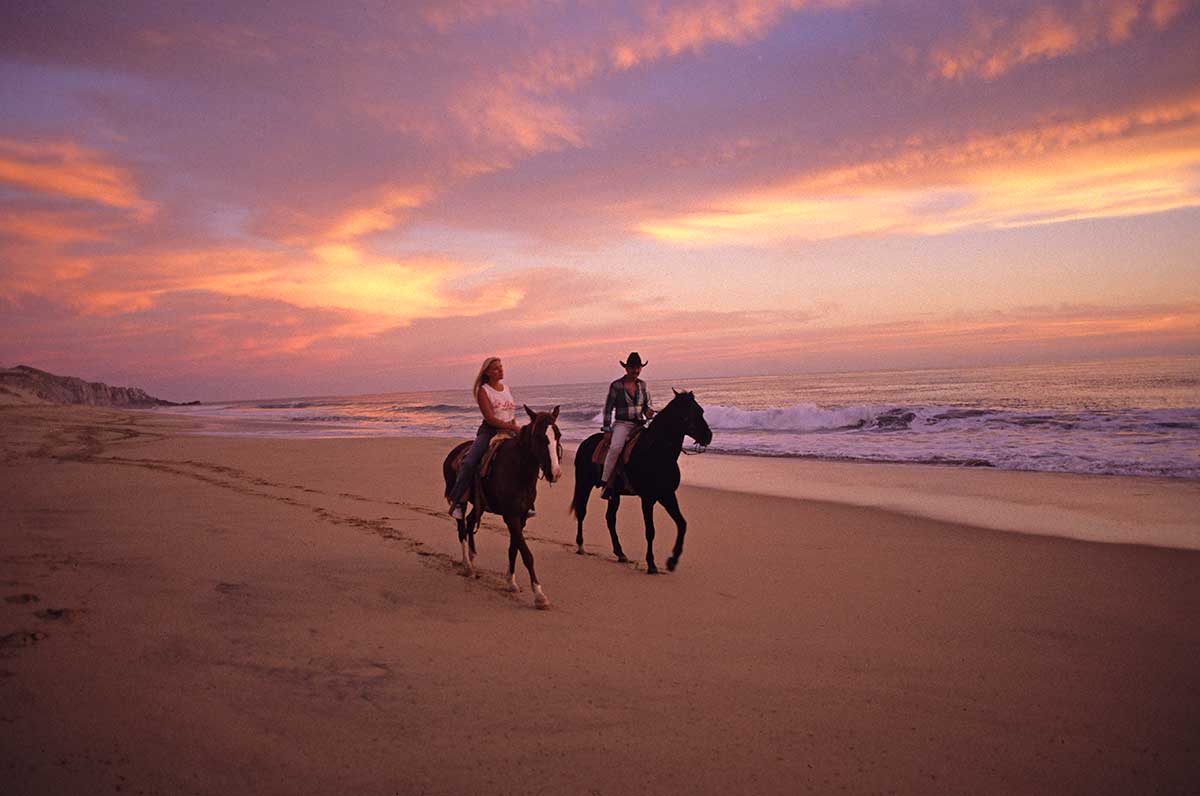 Discover the Beauty of Baja by Horseback Riding
