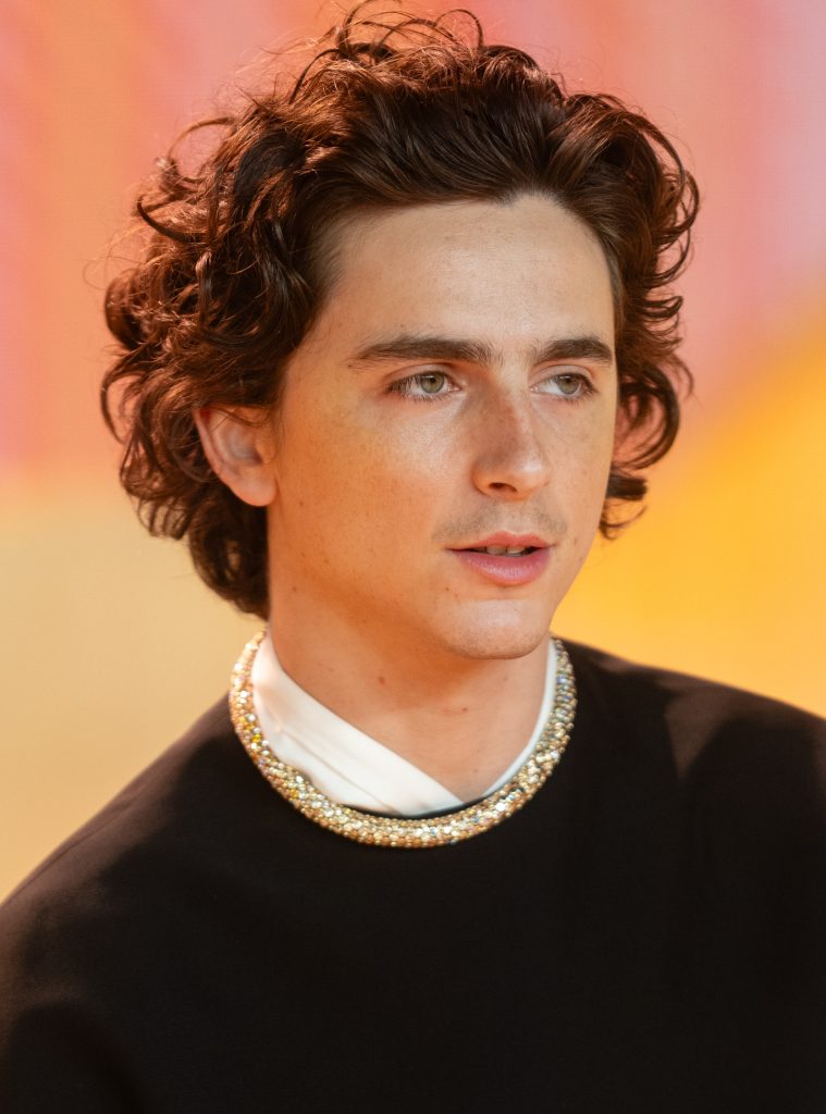 Timothee Chalamet attends the World Premiere of "Dune: Part Two" in London's Leicester Square on February 15, 2024 in London, England.