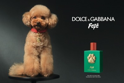 Dolce & Gabbana's Fefé fragrance mist