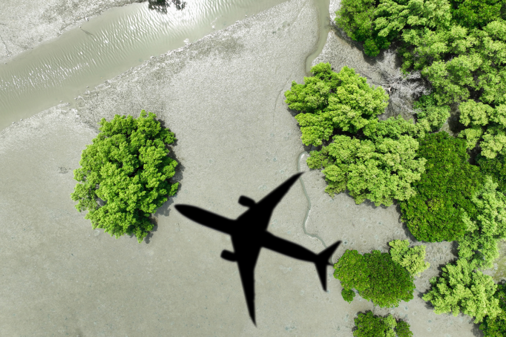 Airplane shadow over trees