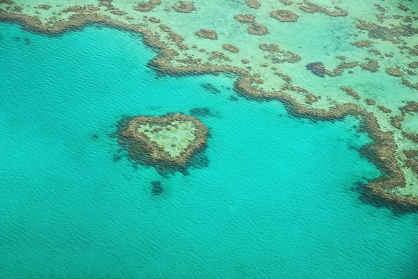 The great barrier