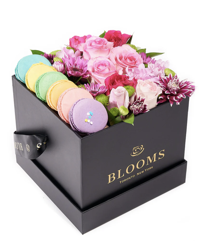 blooms flower gift set