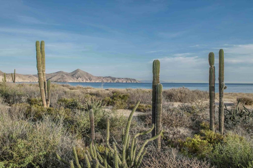 Isla de Cerralvo Baja California Sur, Sea of Cortez