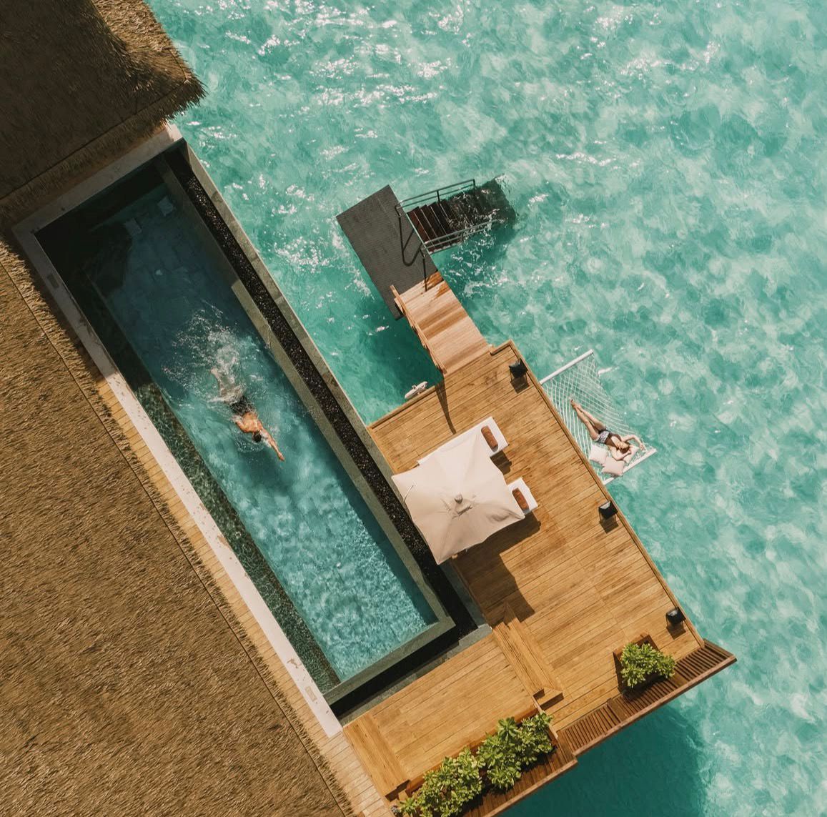 Luxury Wellness: Land Snorkeling, Forest Bathing & Other Trending Terms