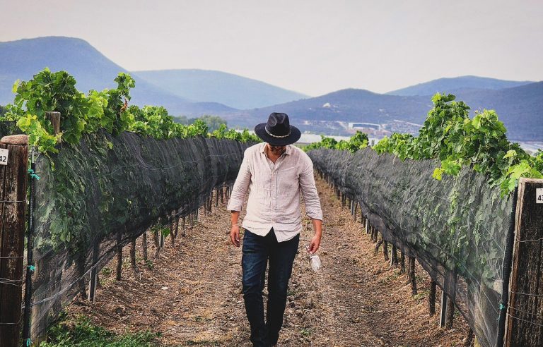 Miguel Cotero at Vineyard