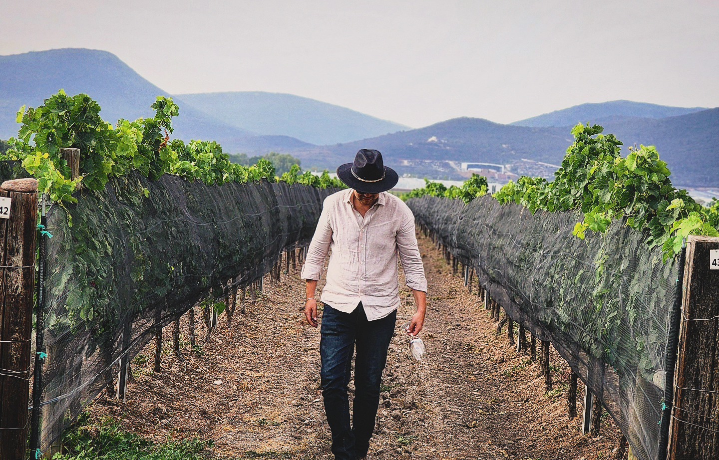 The Wine Whisperer of Los Cabos