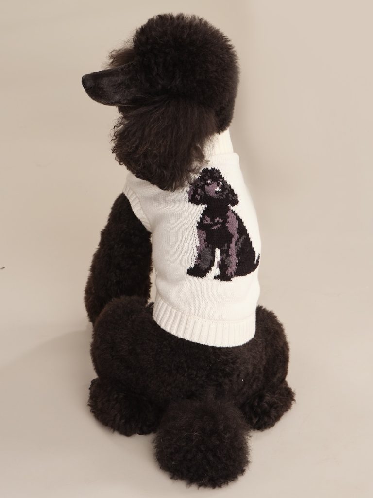 525 American poodle dog sweater