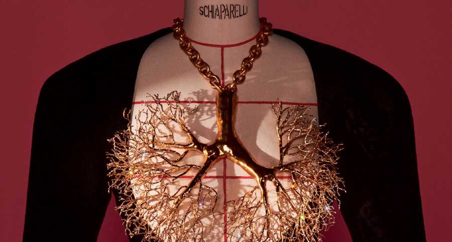 Schiaparelli Fashion Becomes Art